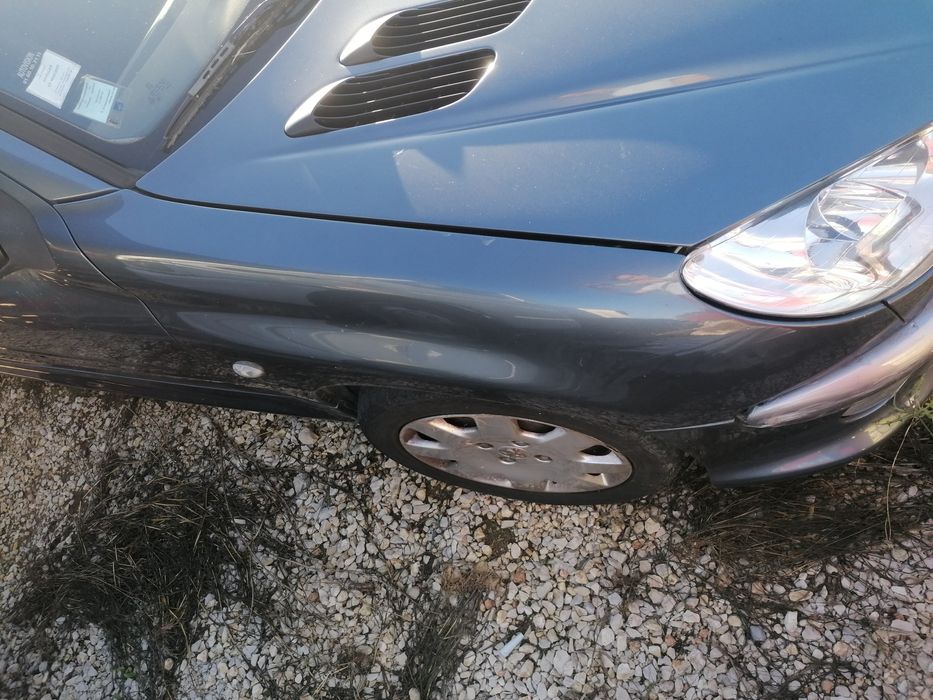 Guarda lamas peugeot 206 xs, gti, cc