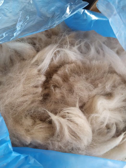 runo alpaki alpak alpaka