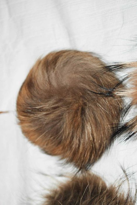 Балабон помпоны балабоны на шапку для шапки   енот енота.