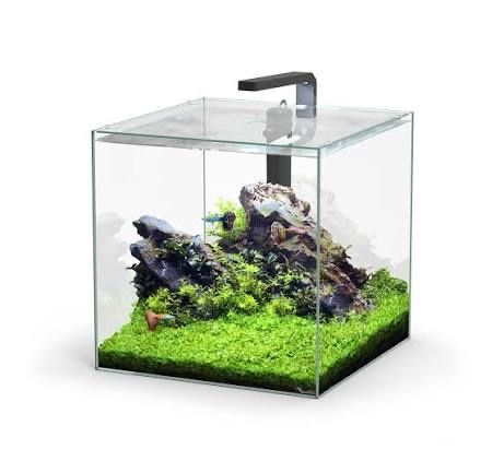 Aquario  kubus 54l