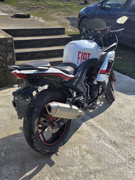 Viper V250 f2, 2021