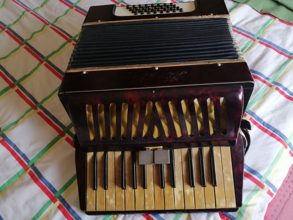 Acordeon. Acordeão