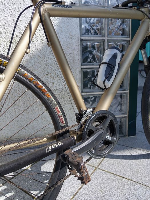 Bicicleta  Coelho Homem