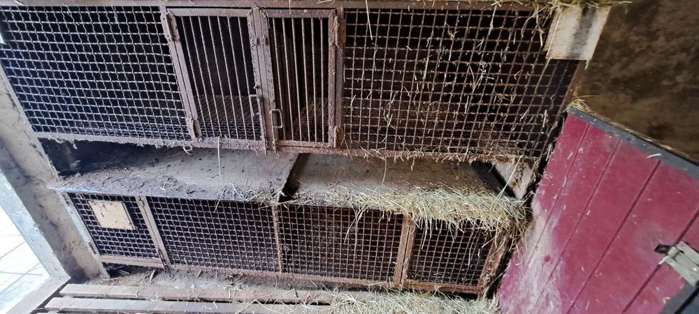 Клітки для нутрій і кролів