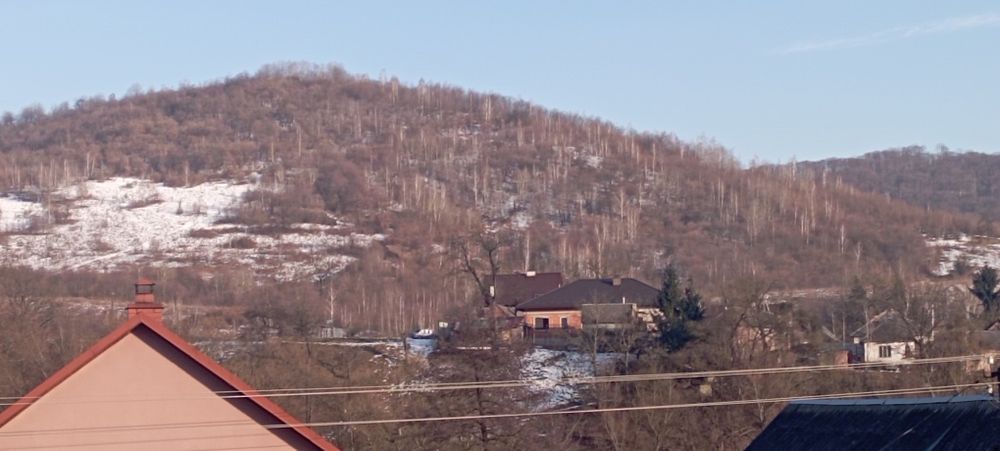 Вартість знижено! Продамо будинок Голубине Закарпаття курорт Поляна