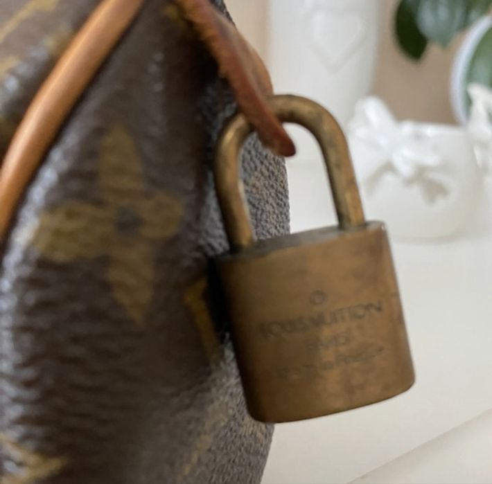 Torebka Louis Vuitton Speedy Nano Mini