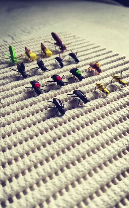 Muchy powierzchniowe klen pstrąg