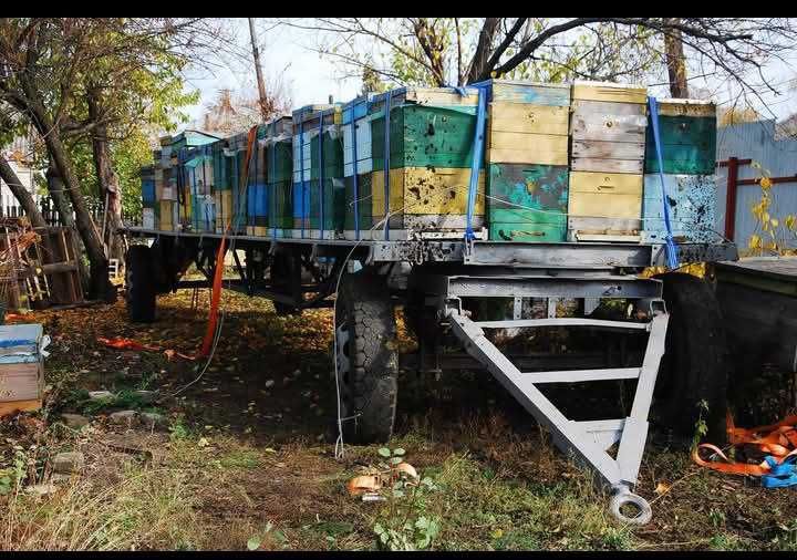 Причіп-платформа для пасіки