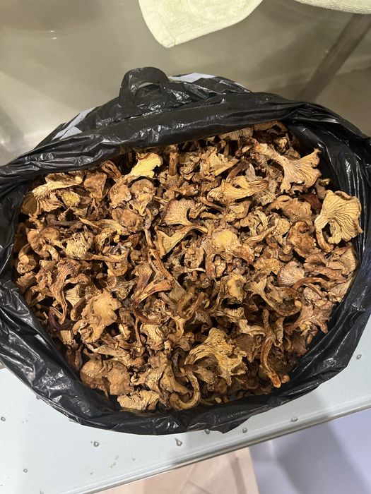 Сушені лисичкі ціна договірна