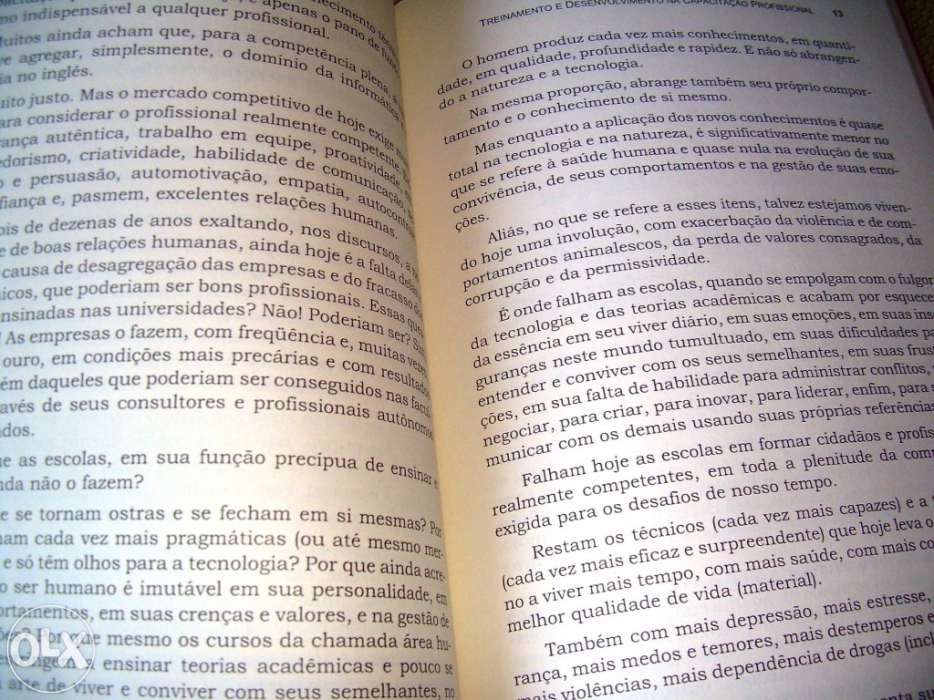Erros, acertos e soluções/ treinamento e desenvolvimento profissional