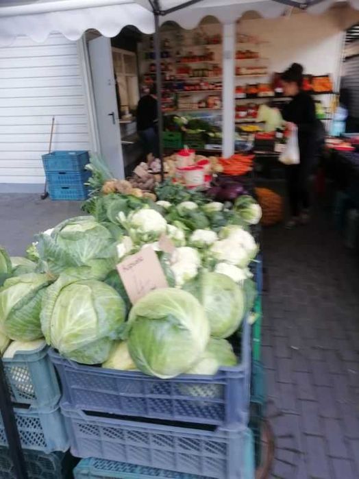 Pawilon handlowy w atrakcyjnej lokalizacji