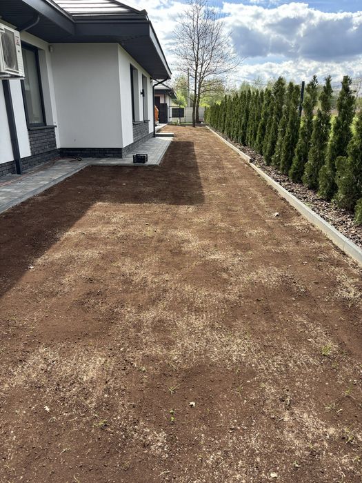 Usługi ogrodnicze, koszenie, zakładanie trawników, przycinanie tuj