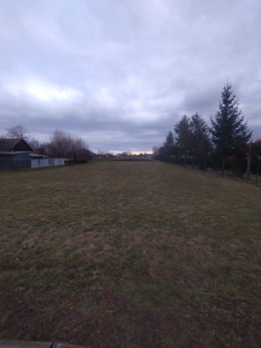 Działka z warunkami zabudowy, działka budowlana, Głuchów 50 ar