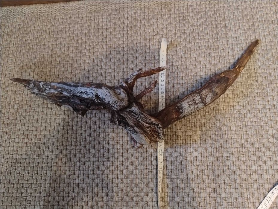 Duży korzeń do terrarium/akwarium