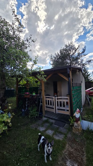 Dzialka ROD Słomin kolo Magdalenki