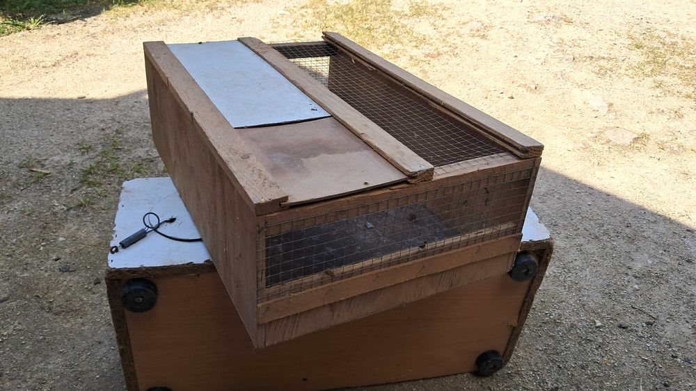 Ring necks para ceder