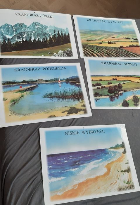 Tablice demonstracyjne dwustronne 5 sztuk