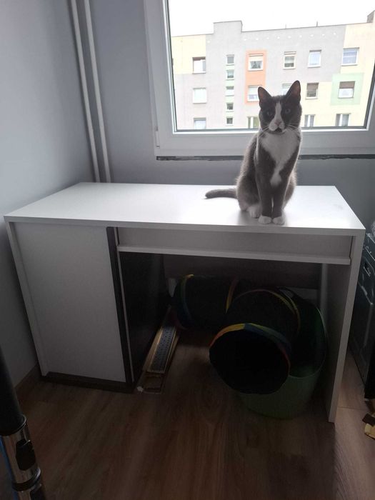Biurko w bardzo dobrym stanie