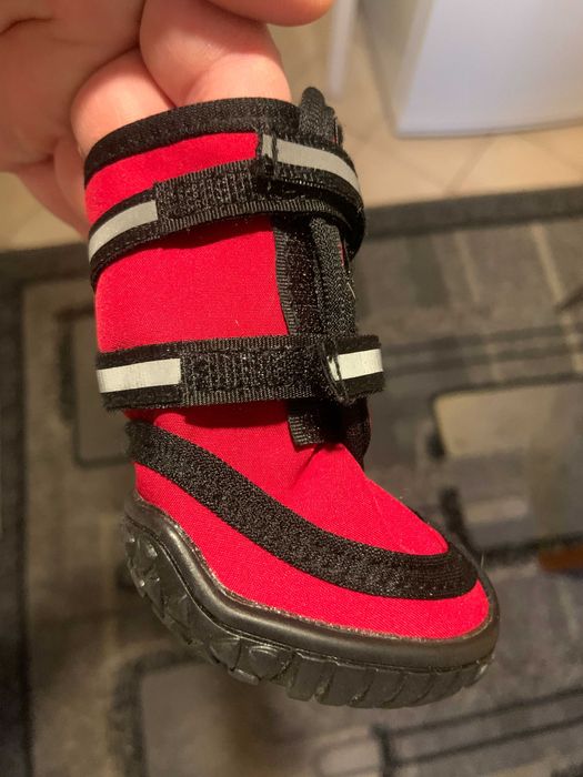 Buty dla psa. Rozmiar S.