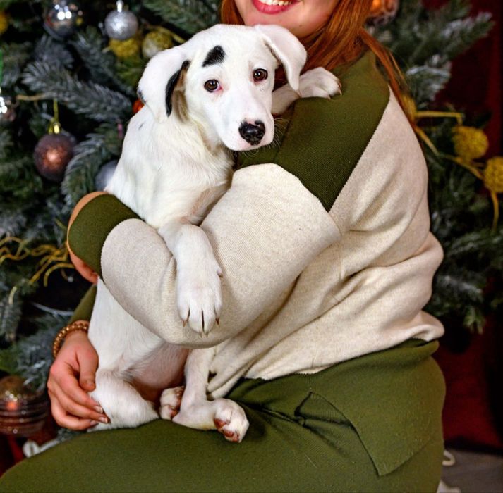 Дівчинка знайдена в полі