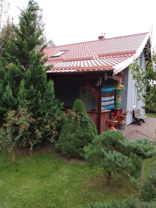 Domki do wynajęcia na wczasy, urlop