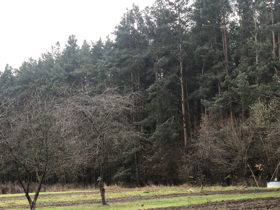 Продам будинок в смт. Соснове