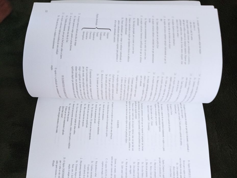 Pequeno curso de língua portuguesa.	Maria Inês Castelo Branco  1984*