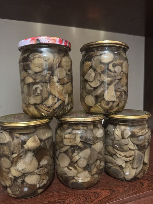 Мариновані гриби (підосичники та підберезники)