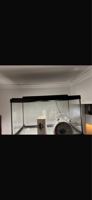 2 aquarios para desocupar espaço