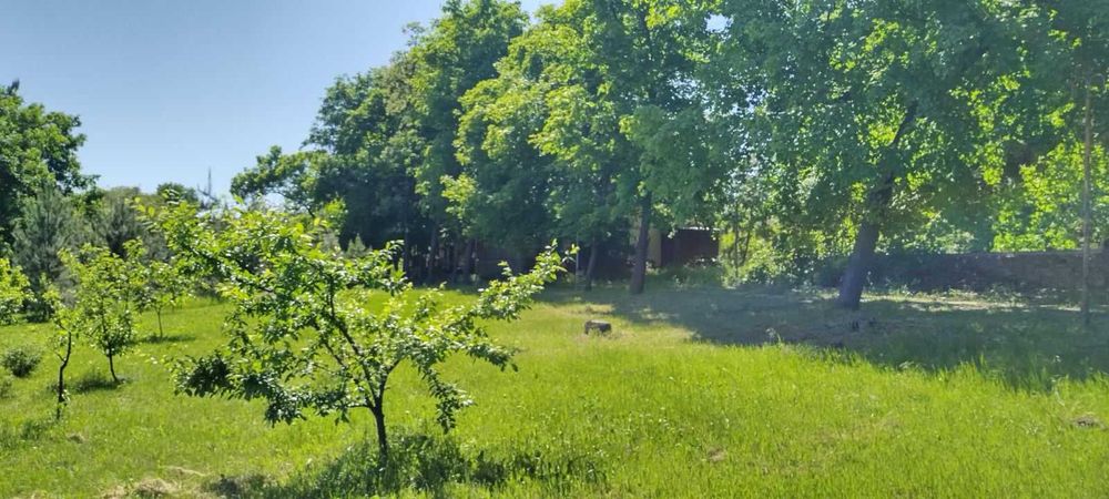 Продаж Бази відпочинку, 4.6 Га з берегом 145 м біля м. Дніпро
