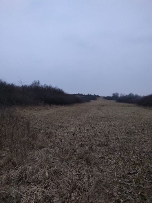 Sprzedam Grunty rolne