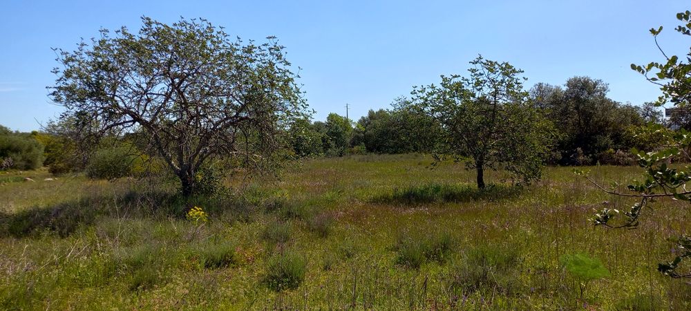 Vende-se terreno agrícola - boa localização