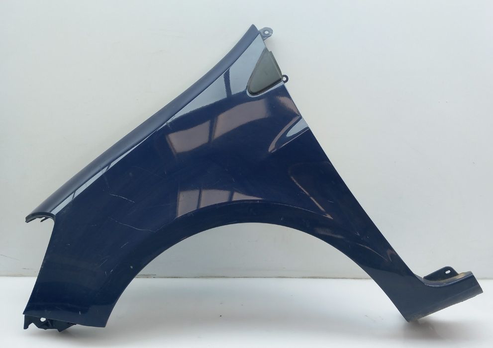 Guarda-lamas esquerdo RENAULT Clio III (BR0/1, CR0/1)