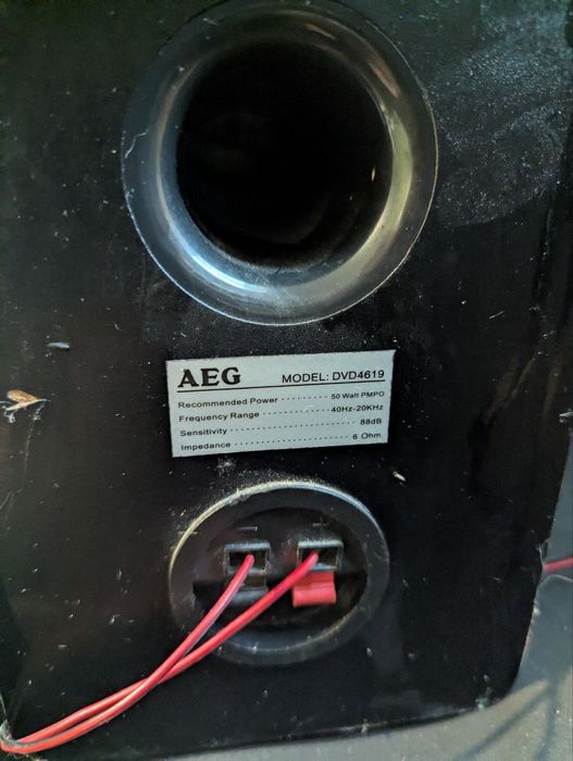 Колонки мониторы 50 ватт каждая AEG DVD4619