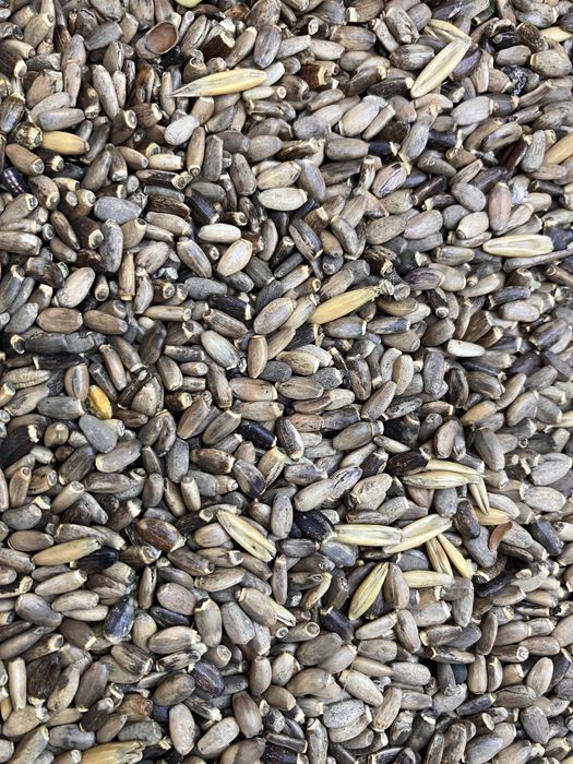 Ostropest miododajne faktura  20kg