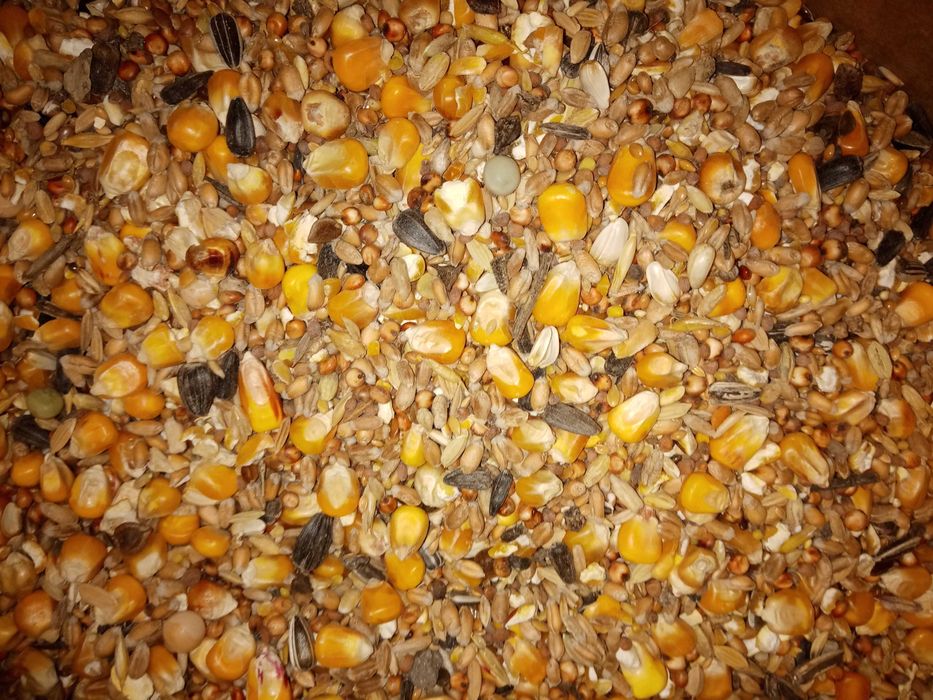 Karma dla gołębi Uniwersalna 25kg U Kampol