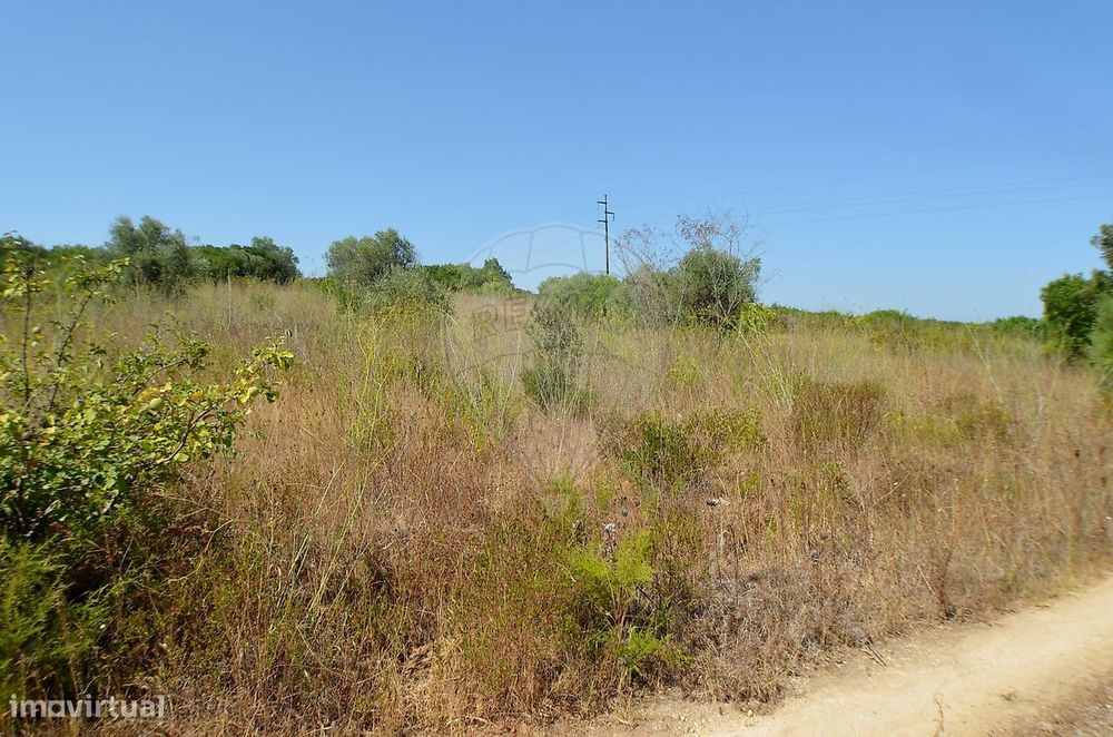 Terreno  para venda