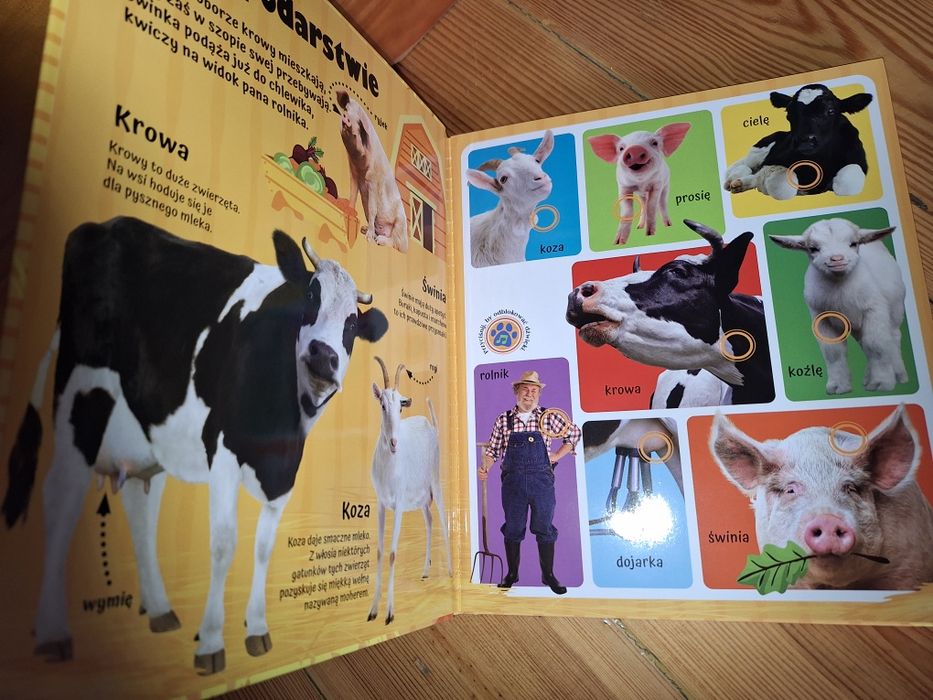 Odgłosy na wsi książeczka dźwiękowa