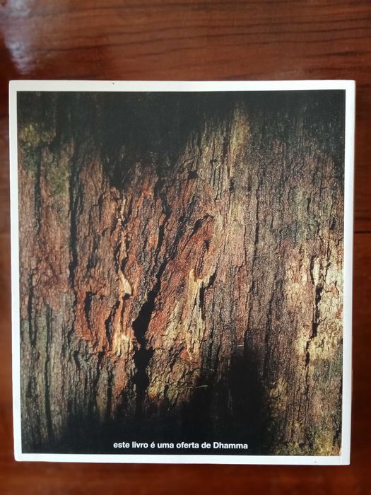 Ajahn Jayasaro - À sua verdadeira luz