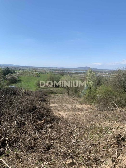 Продаж земельної ділянки на Чорній Горі, м. Виноградів (СТ "Полкова")