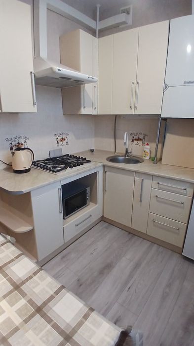 Квартира подобово в центрі міста  вільна  з  19.01