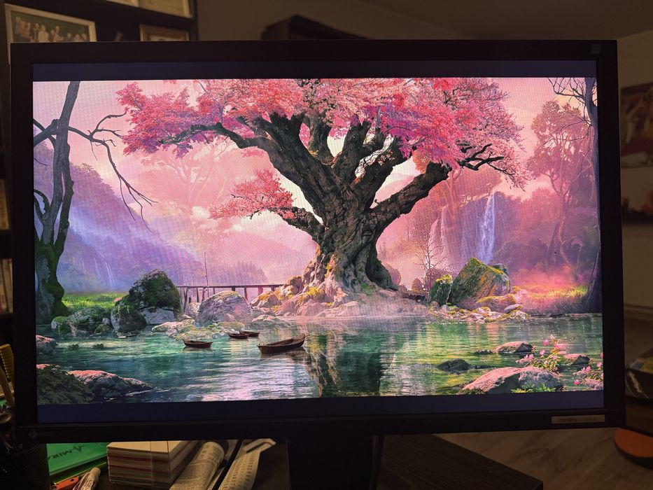 Monitor LCD Eizo FlexScan EV2436W