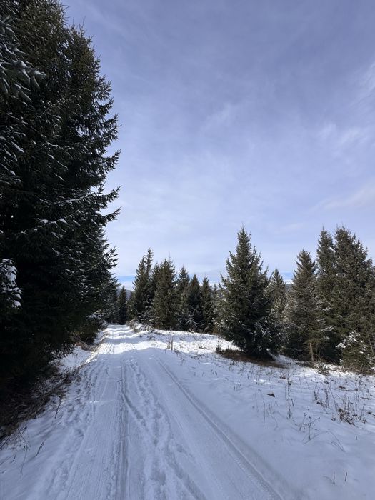 Продам ділянку в Карпатах з доїздом легковим авто с. Ільці