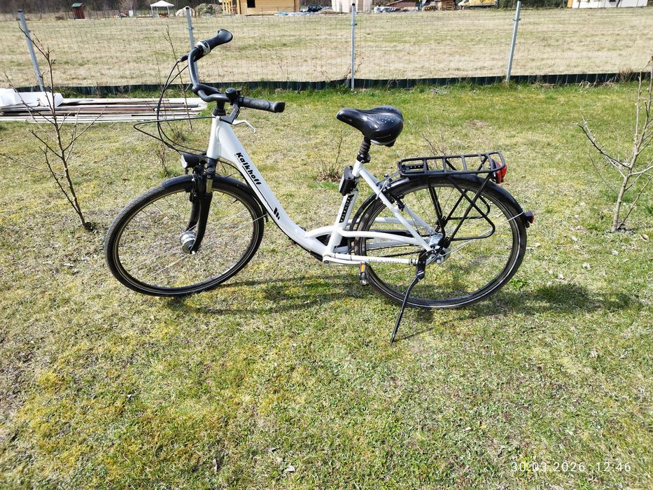 Rower miejski Pegasus