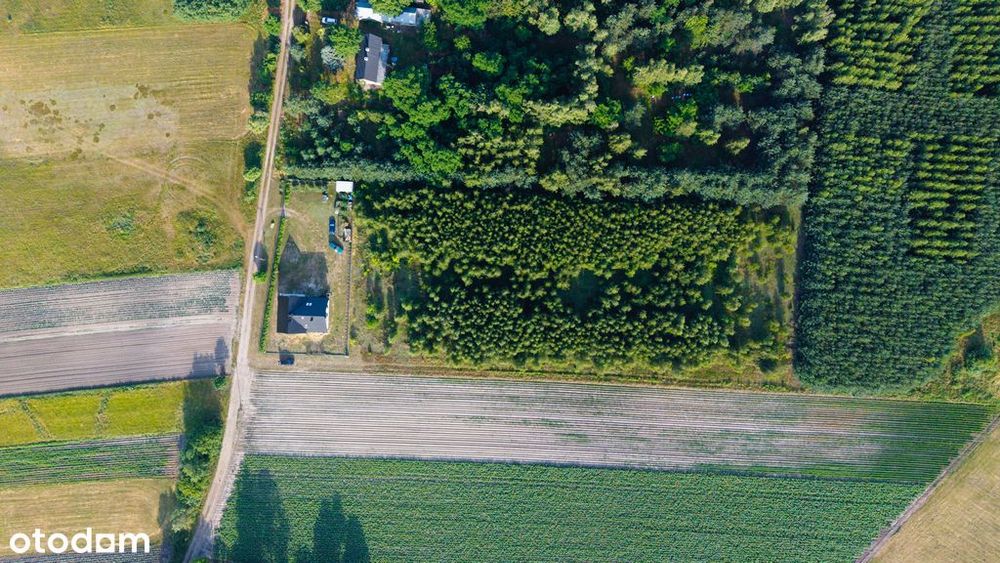 1,2 czy 3 którą wybierasz Ty? - Widok 3
