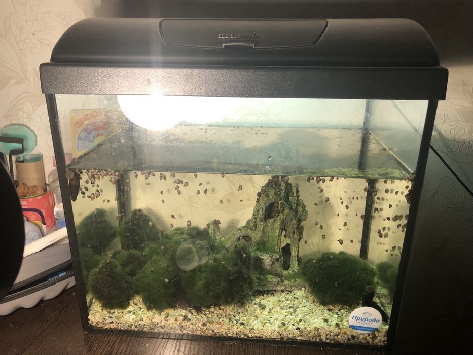 Аквариму 35 литров с крышкой