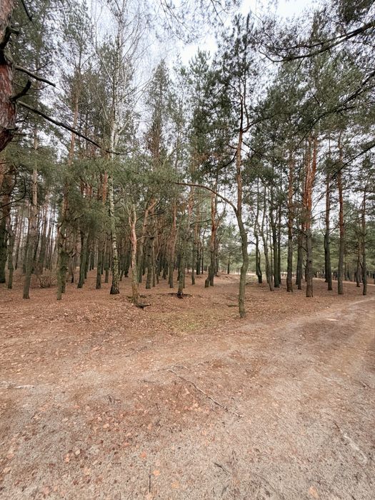 Продается дача, с/о «Механизатор»