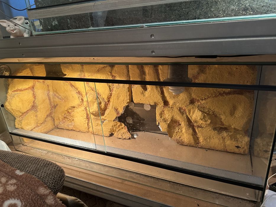 Duze terarium 120cm uzywane dla agamy