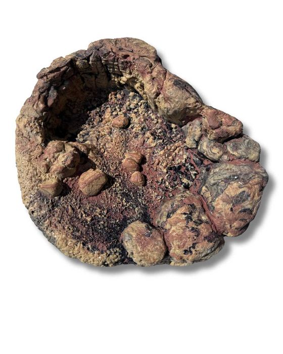 OCZKO WODNE BASEN do terrarium 22,5x18x6 cm. 01