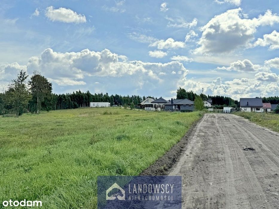 Zapewnij sobie wyjście z ogrodu do własnego lasu - Widok 5